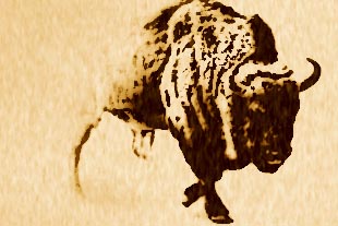 bison walking out of the mist greyscale image