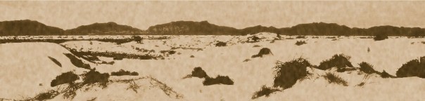 white sands